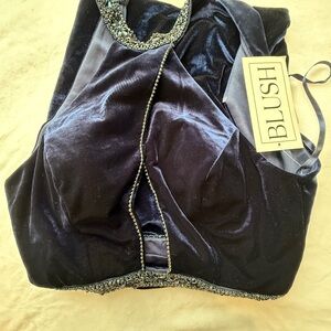 Blush Midnight Velvet Dress